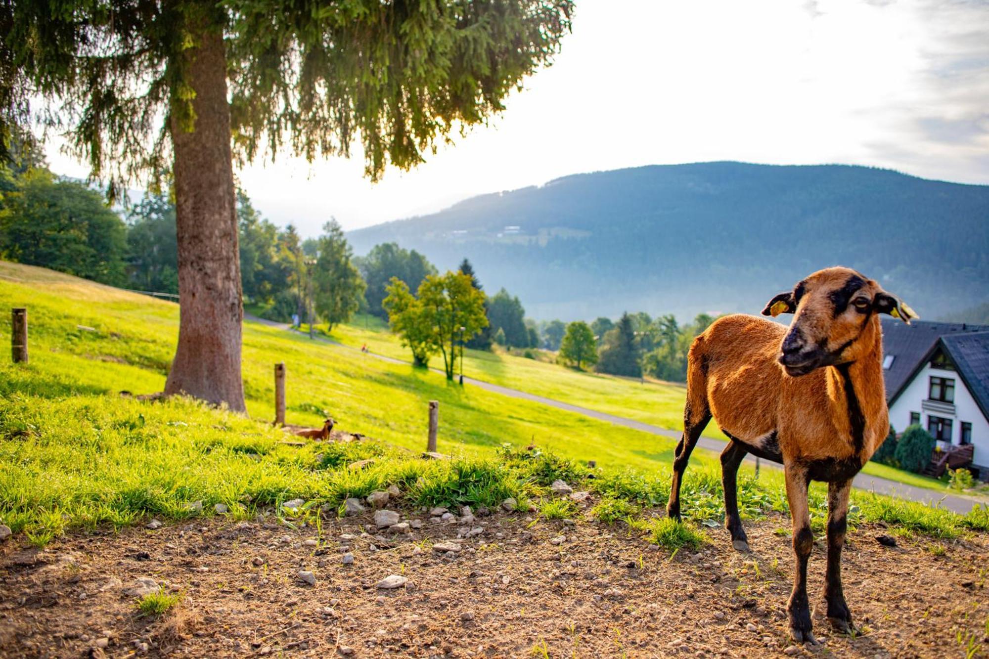 Amenity Hotel & Resort Špindlerŭv Mlýn Εξωτερικό φωτογραφία