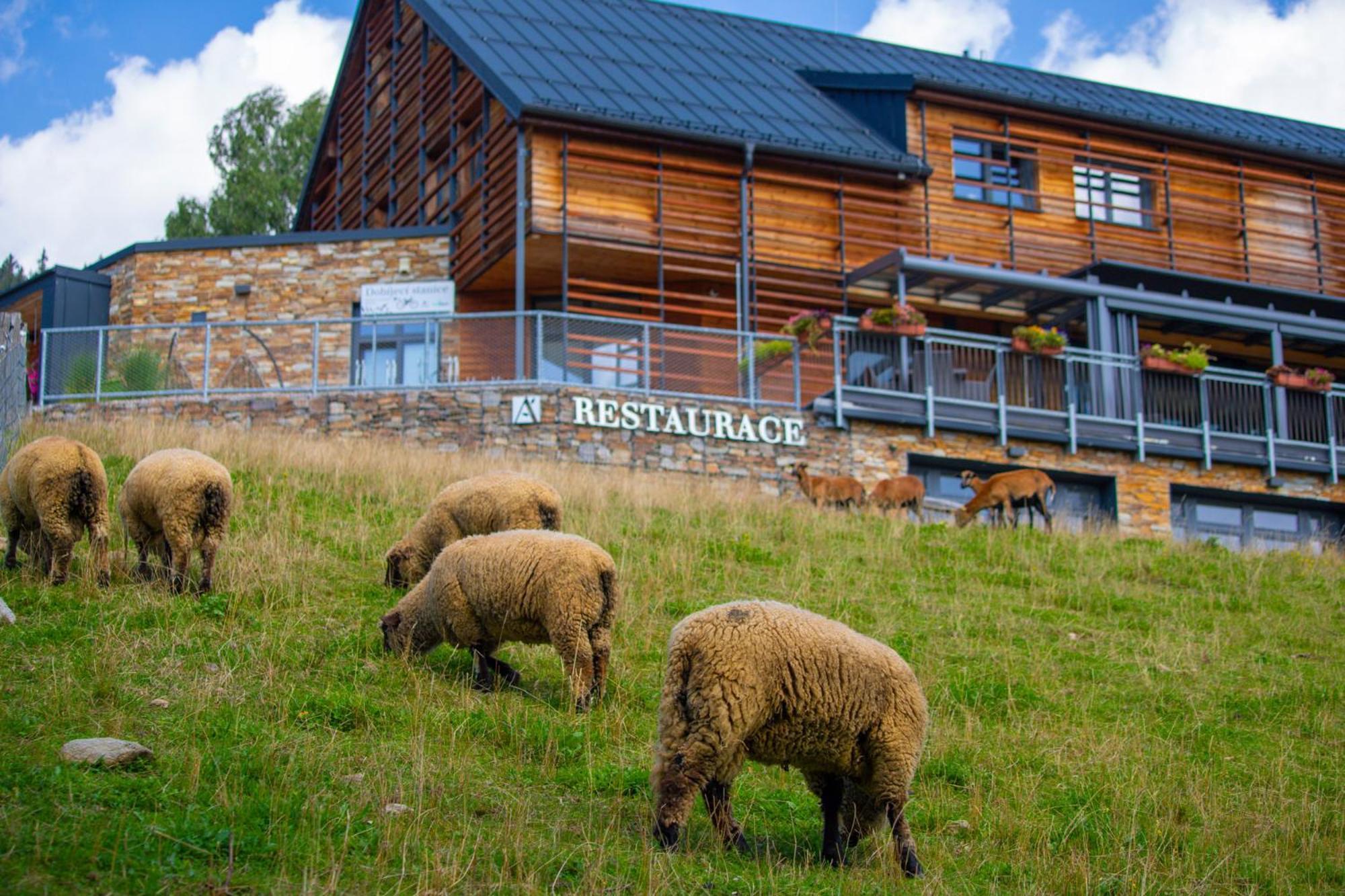 Amenity Hotel & Resort Špindlerŭv Mlýn Εξωτερικό φωτογραφία